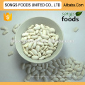 High Quality Whie Kidney Beans Different Type